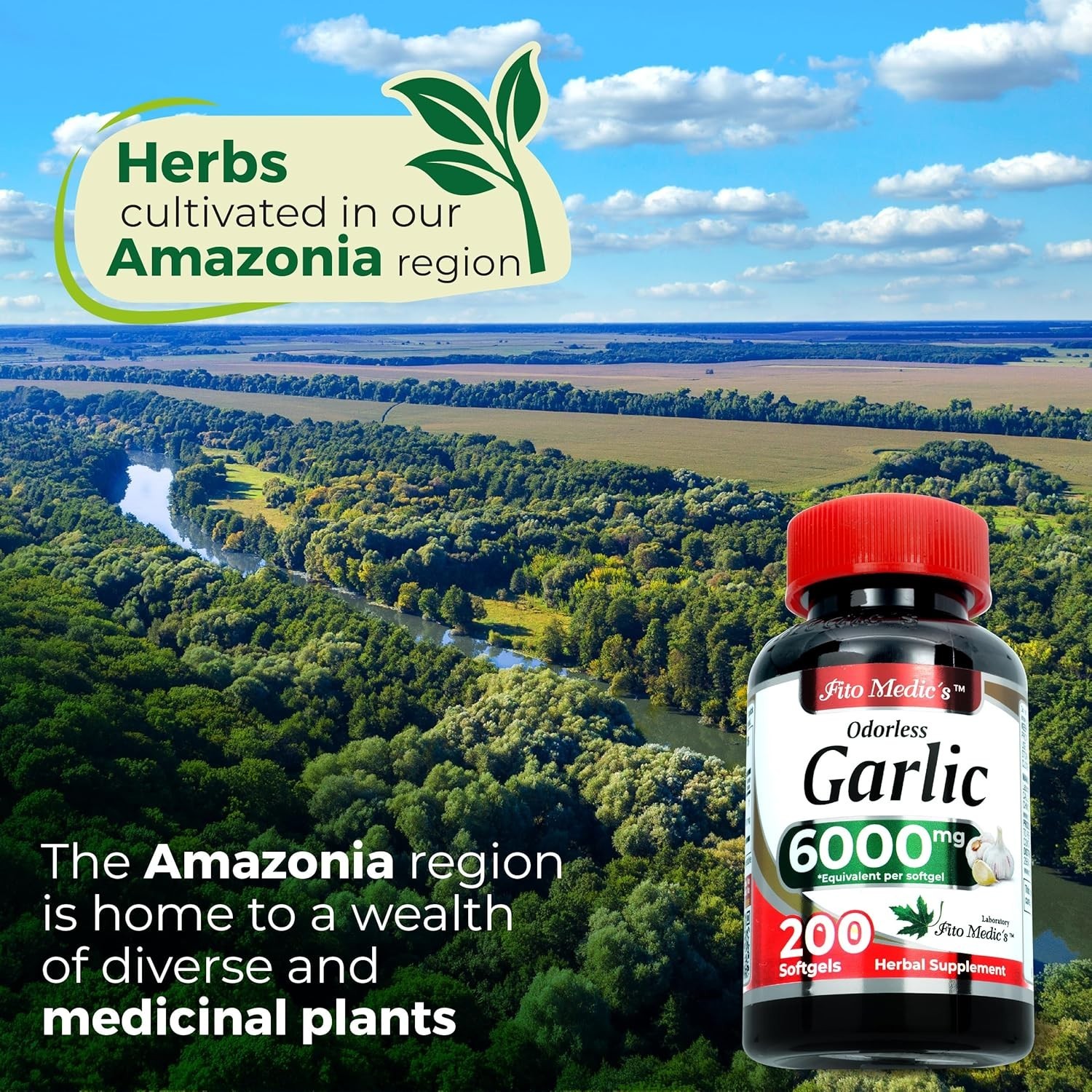 Garlic Pills 6000 mg Equivalent 200 softgels Organic Garlic 200 Capsules Garli