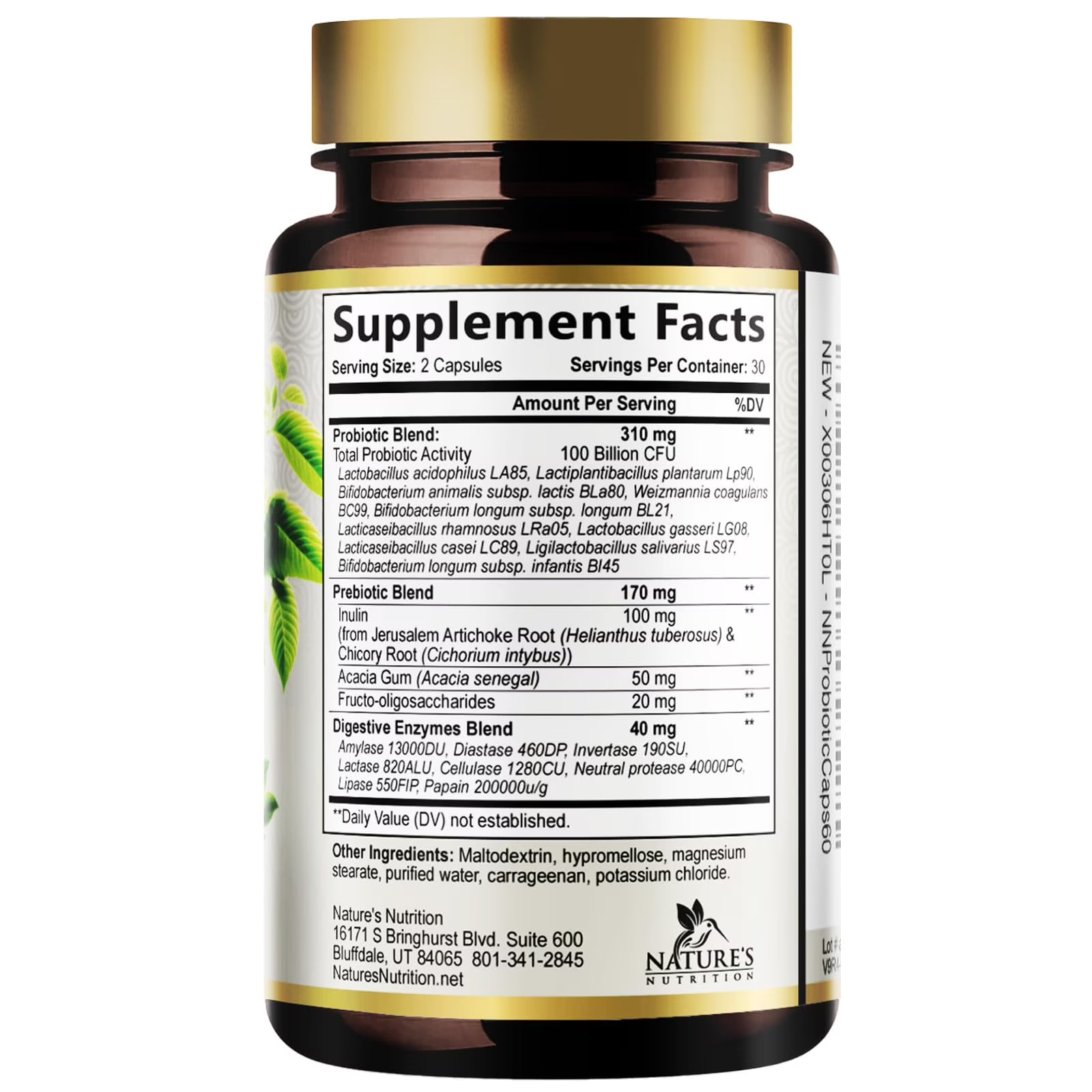 Raw Probiotics 100 Billion CFU Potency Digestive Immune Health 60 Capsules US