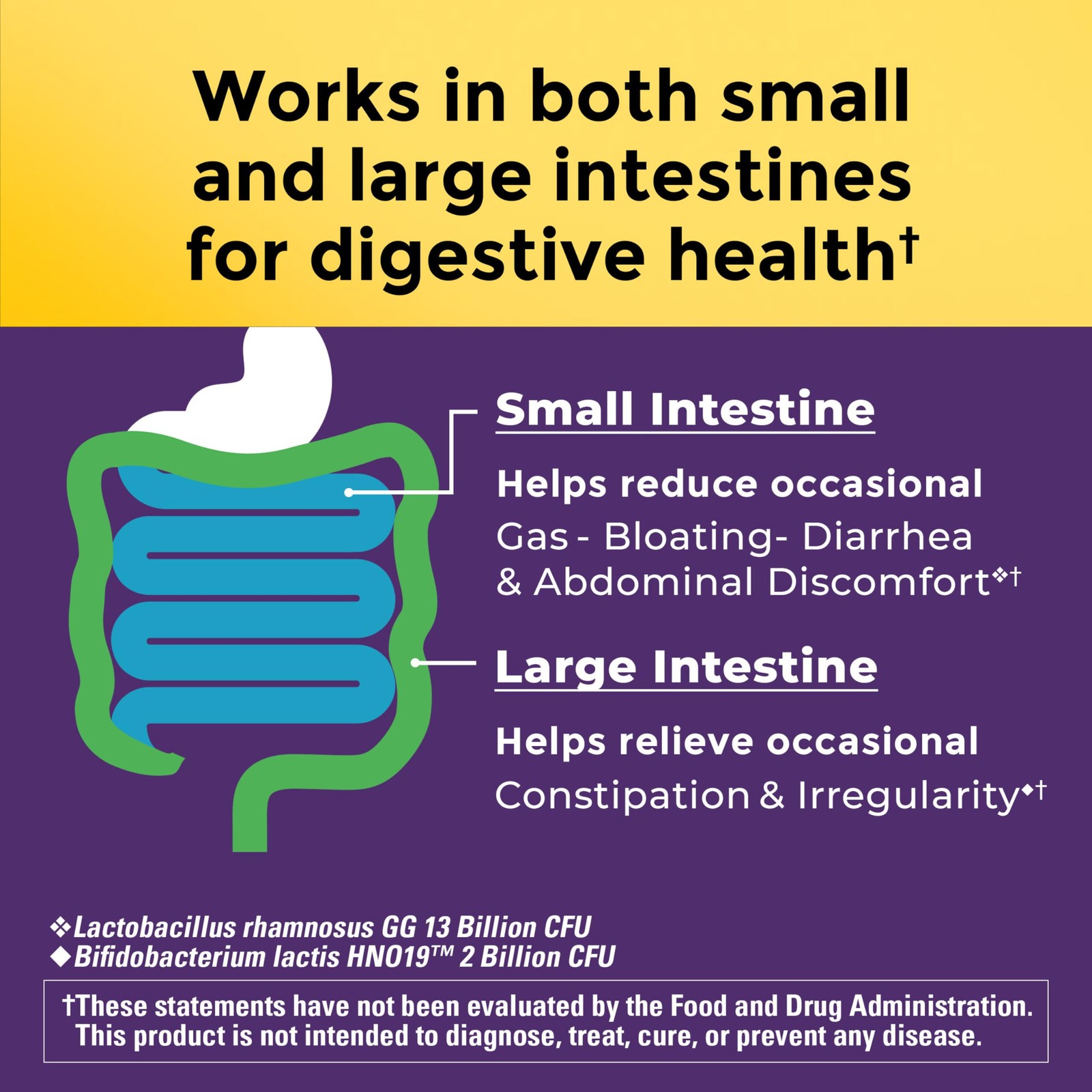 Nature Made Probiotics for Digestive Health Extra Strength 15 Billion CFU…