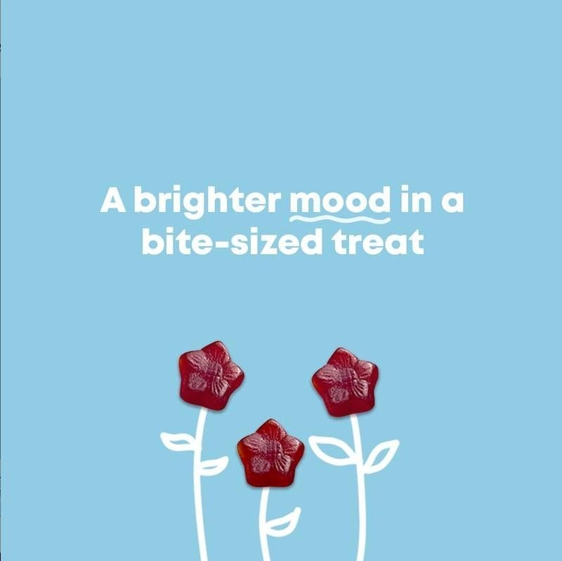 Sugar Free Plant Based Saffron Gummies Passion Flower Daily Wellness Support Mix