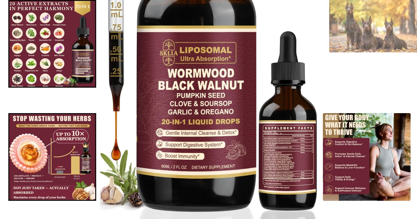 Liposomal Wormwood & Black Walnut Cleanse Drops – Effective for Gut Health