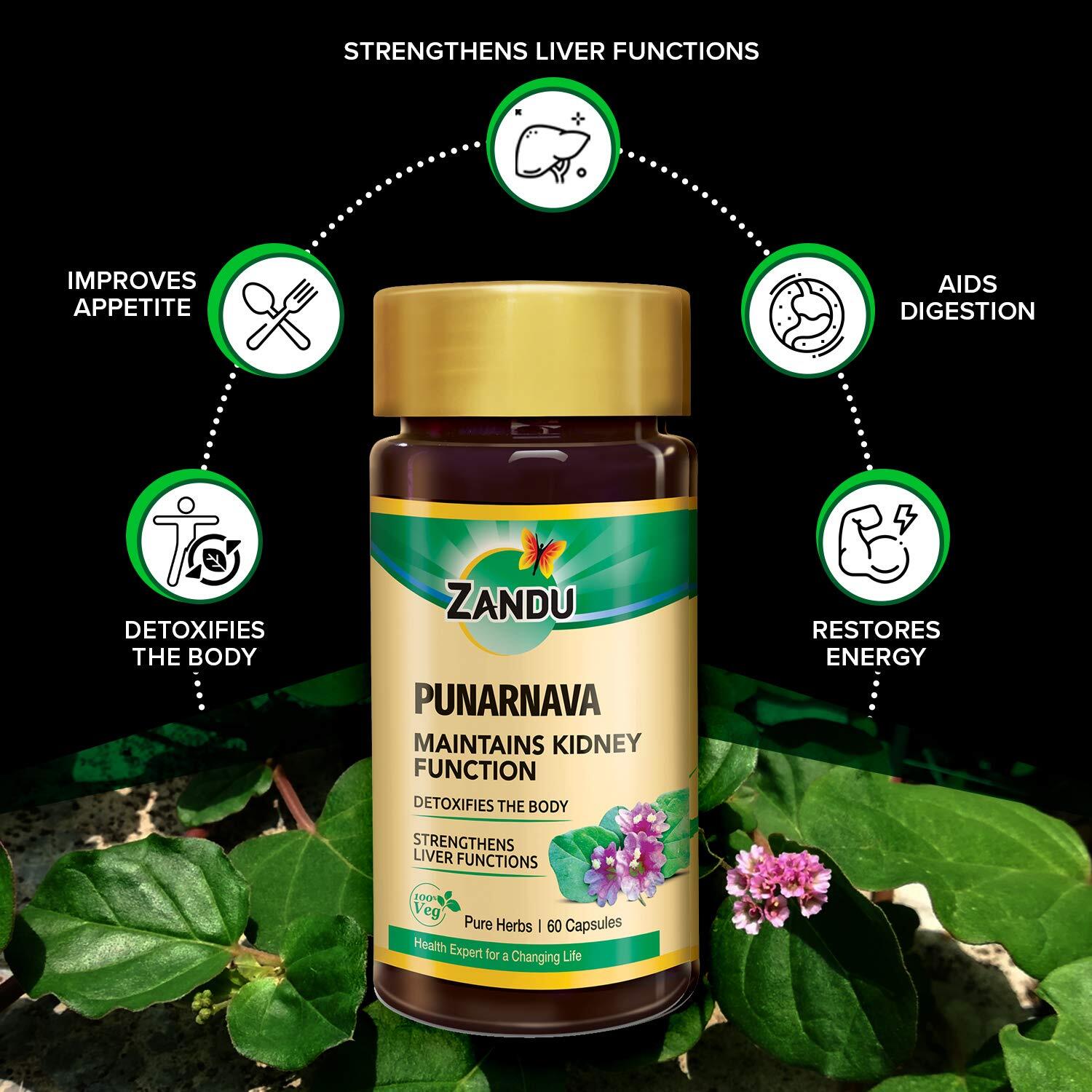 Zandu Punarnava Capsules, Maintains Kidney Function & Liver. (2 Packs) 120 Caps