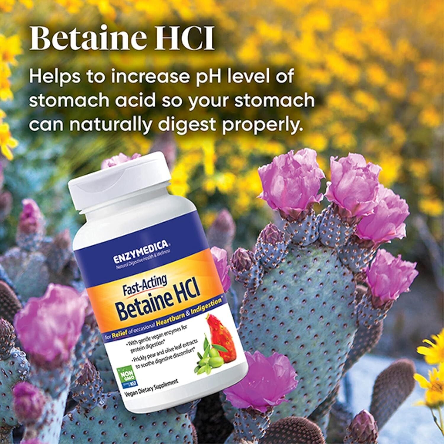 Enzymedica, Betaine HCl, 120 Capsules