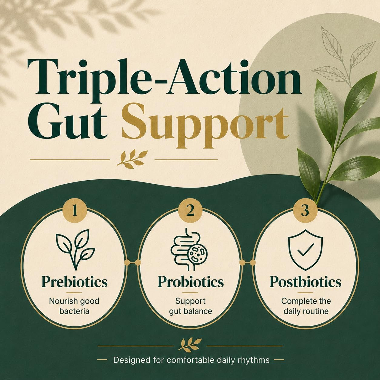 JEVAWELL Probiotic Kombucha Gummies – Prebiotics, Probiotics & Postbiotics – Sli