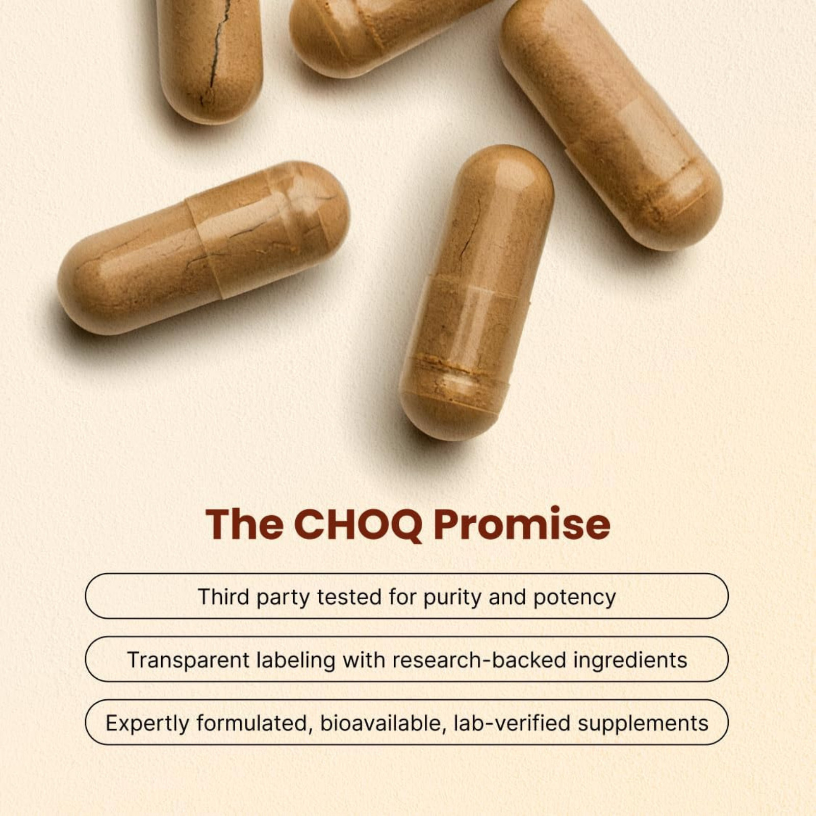 CHOQ Daily Men Supplement 60 Vegan Capsules New Sealed Clean Energy Stamina