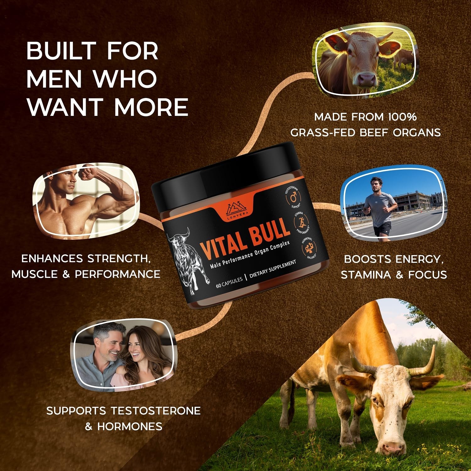 Vital Bull Beef Organ Supplement for Men with Grass Fed Liver, Testicle, Pros…