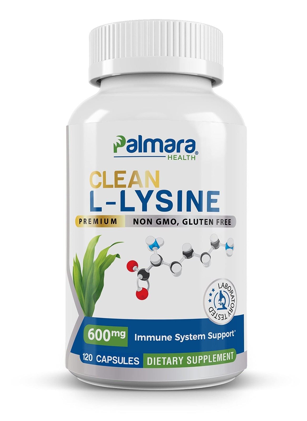 L-Lysine 600mg Capsules – Vegan, Non-GMO, Gluten-Free, Immune Support, 120 Count
