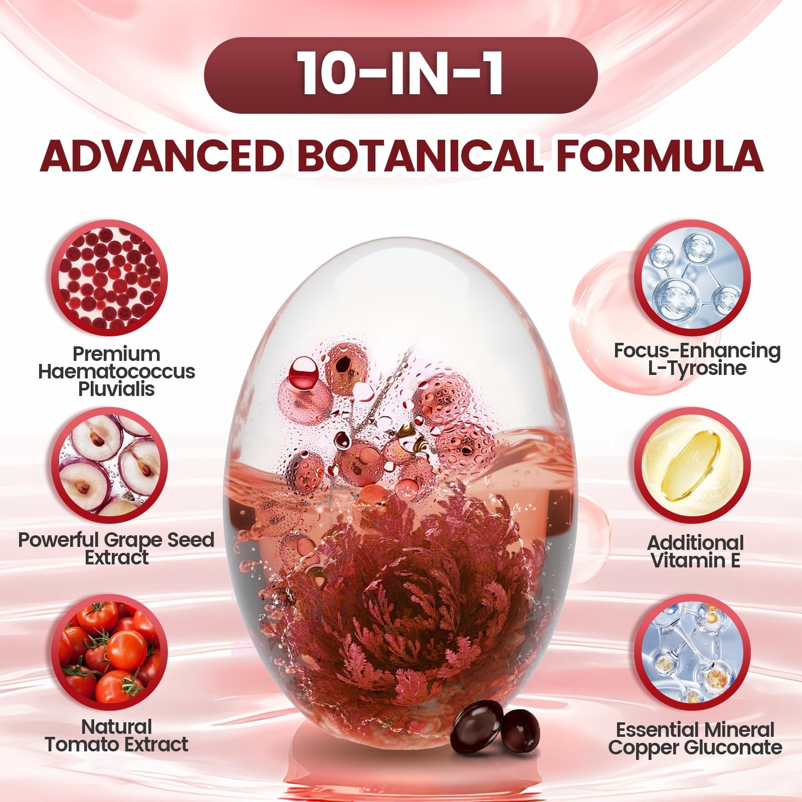 10 in 1 Astaxanthin 1 Count (Pack of 1), 24mg | 1 Bag | 240 Softgels