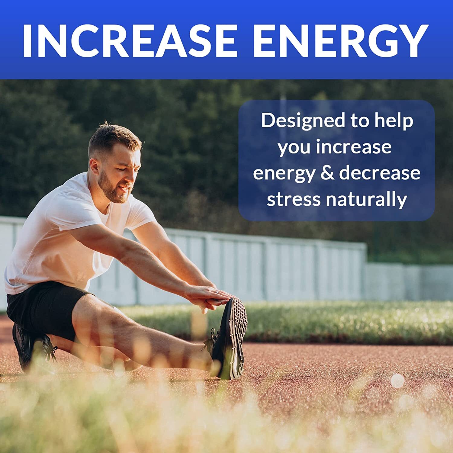 Multivitamin Mineral for Men, Best High Potency Mens Vitamin, Non-GMO Supplement