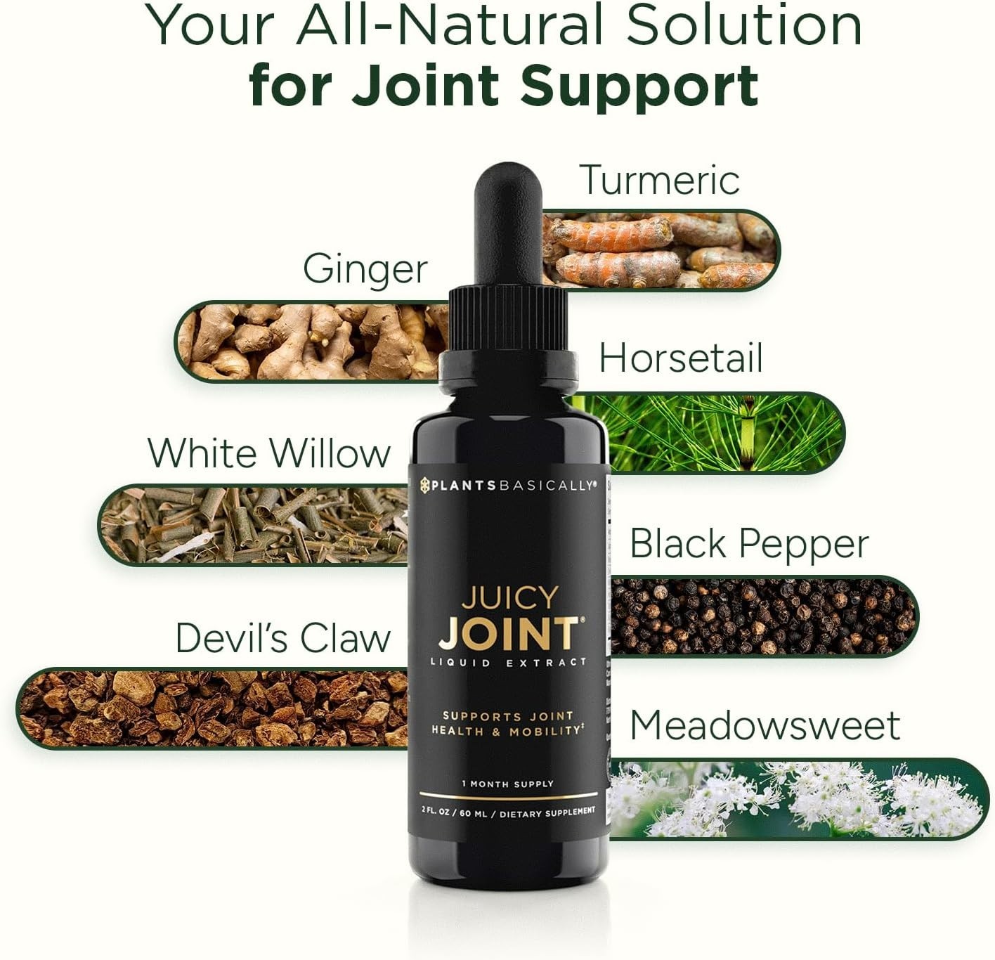 PLANTSBASICALLY Juicy Joint Extract Organic Joint Support Supplement Vegan 30Day