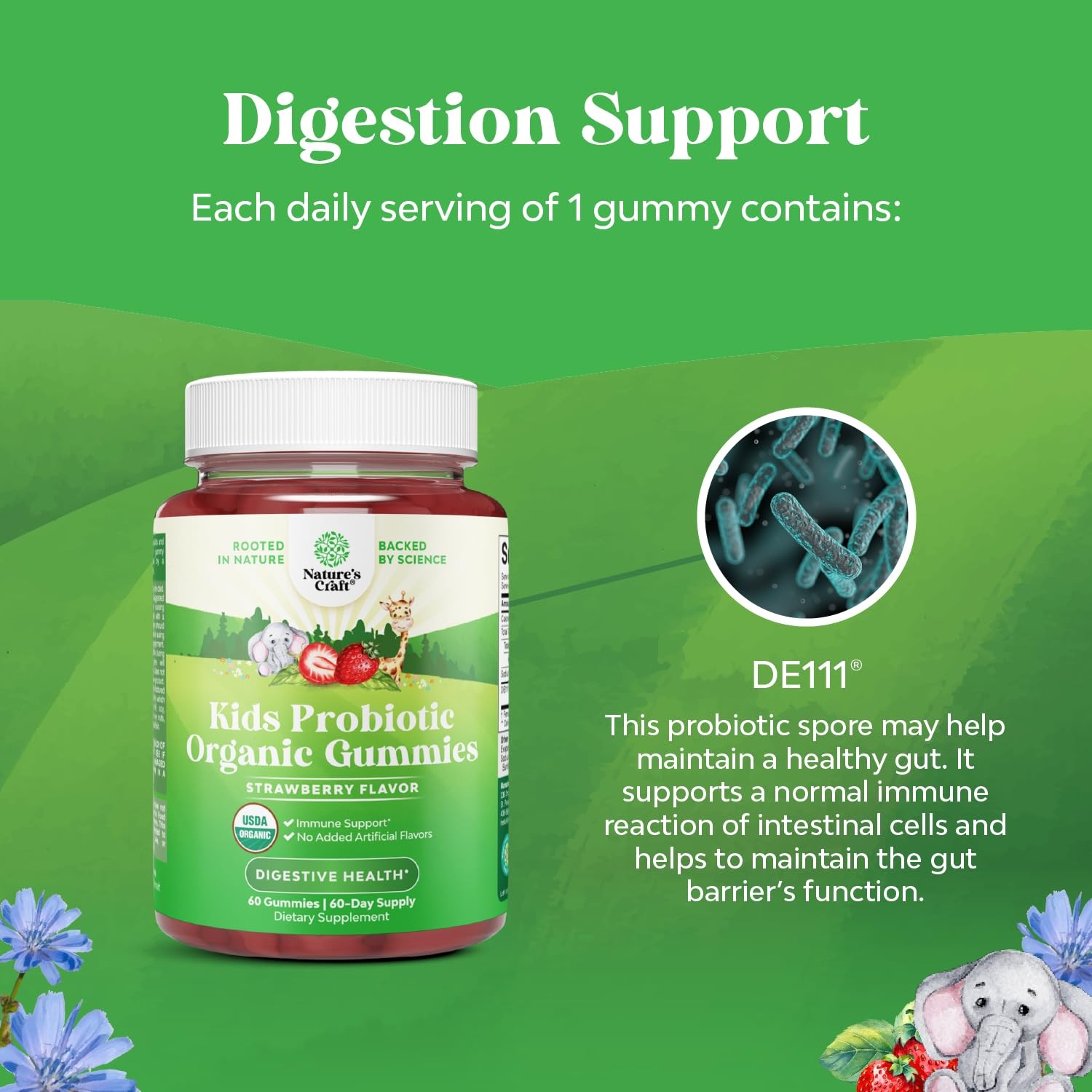 60 Count USDA Organic Kids Probiotic Gummies – Gut Bacteria Probiotics for