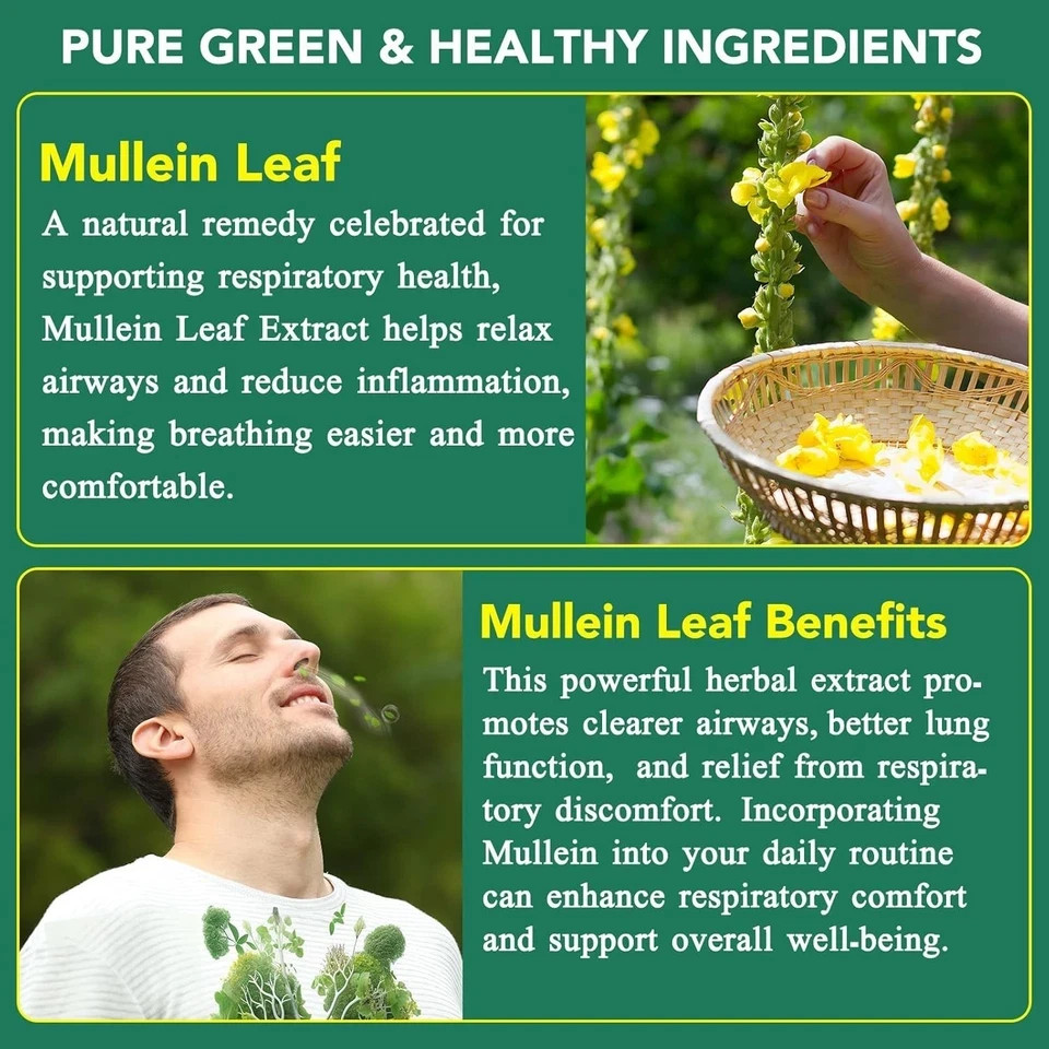60 Count Mullein Gummies for Lung Cleanse, 2000mg Organic Mullein Leaf Extract f