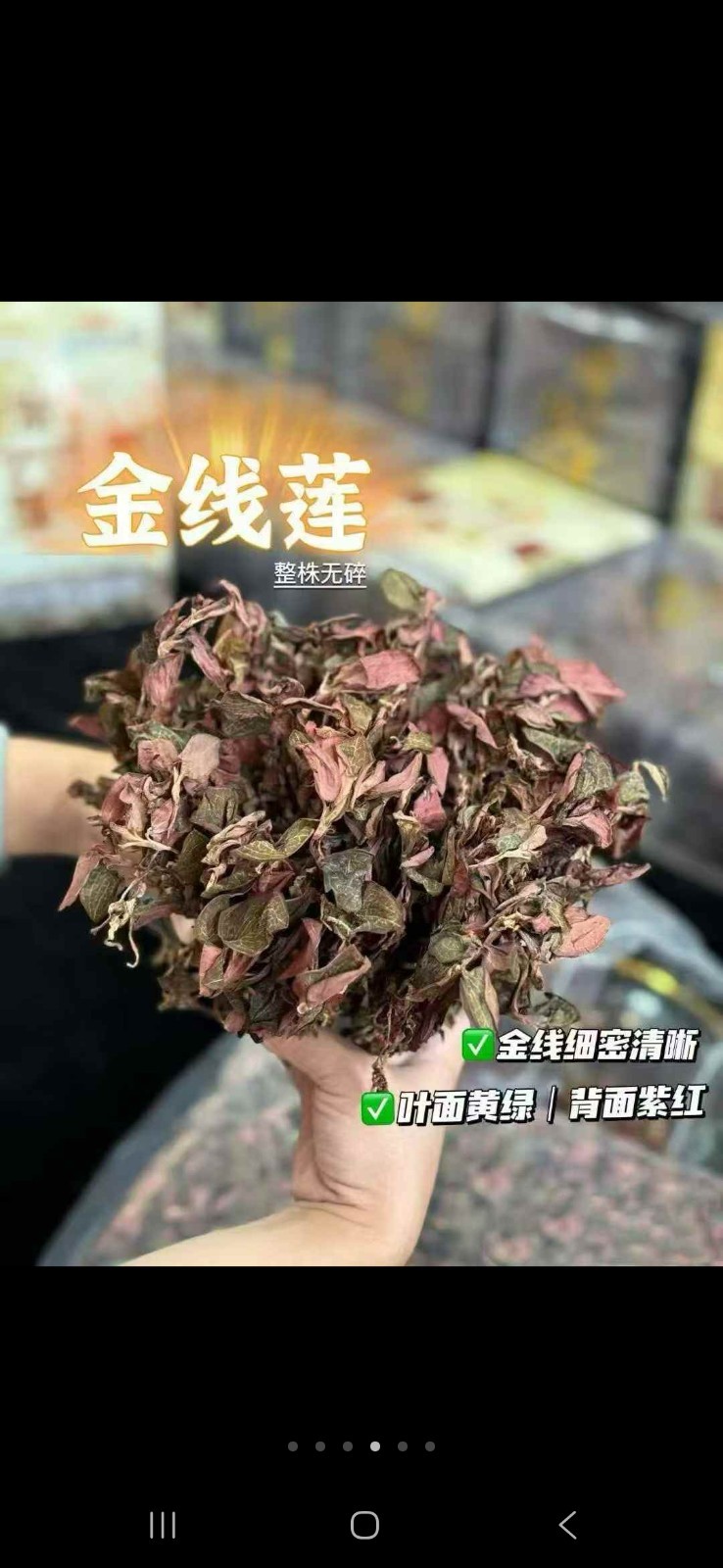 金线莲Jin Xian Lian 500g
