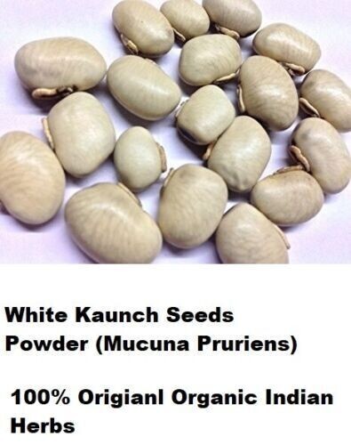 White Kaunch Seeds Mucuna Pruriens Indian Velvet Bean Konch Beej (100gm) 3.5oz
