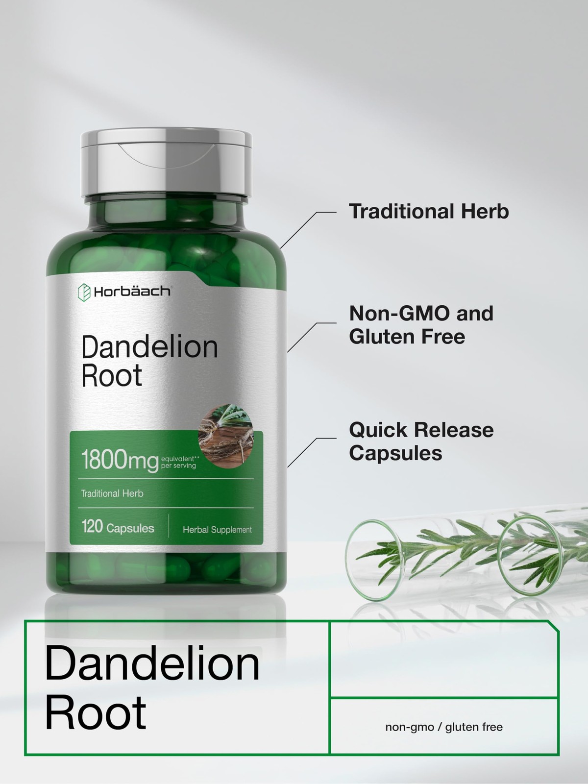 Horbäach Dandelion Root Supplement | 120 Capsules | 120 Count (Pack of 1)