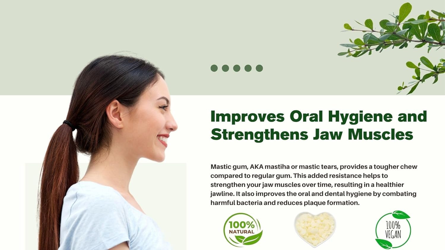 Chios Mastiha Tears Gum Greek 100% Natural Mastic Packs from Mastic Growers
