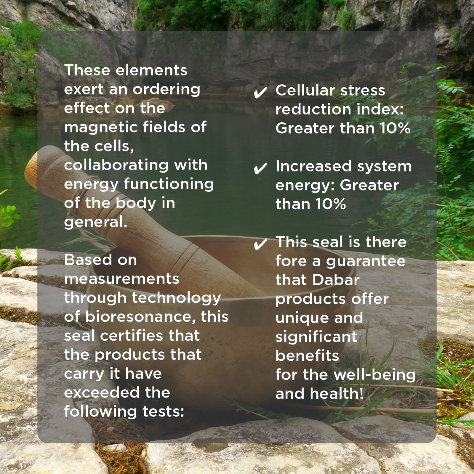 DETOX TABLET W ORMUS,ZEOLITE,SHUNGITE &ACTIVATED CHARCOAL-ELIMINATES HEAVY METAL
