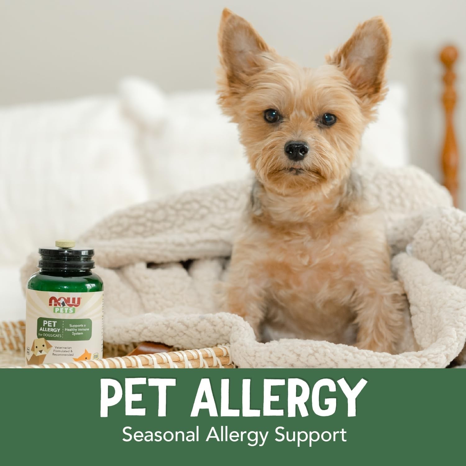 Pets, Pet Allergy for Dogs/Cats, 75 Chewable Tablets pack of 3
