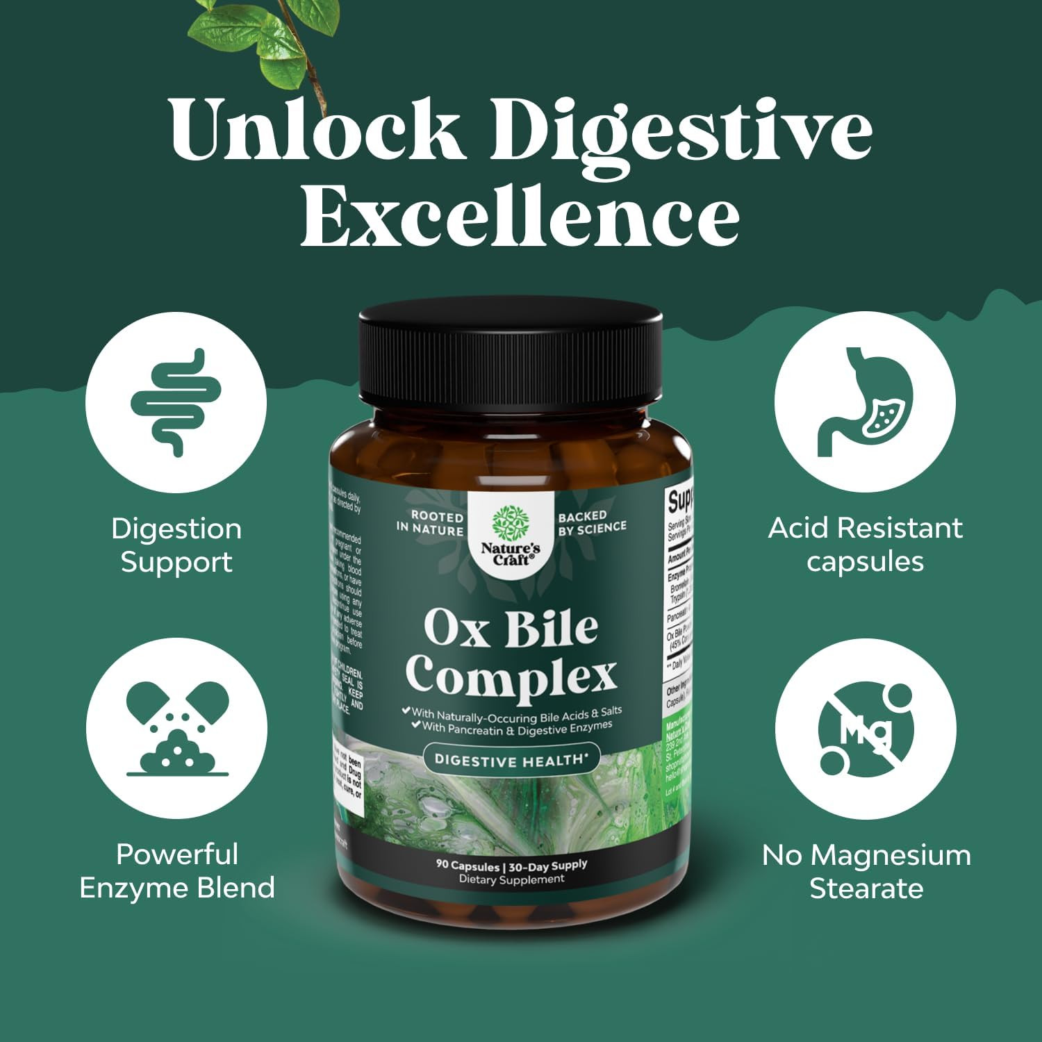 Digestive Enzymes with Ox Bile – Ox Bile Supplements for No Gallbladder with Try