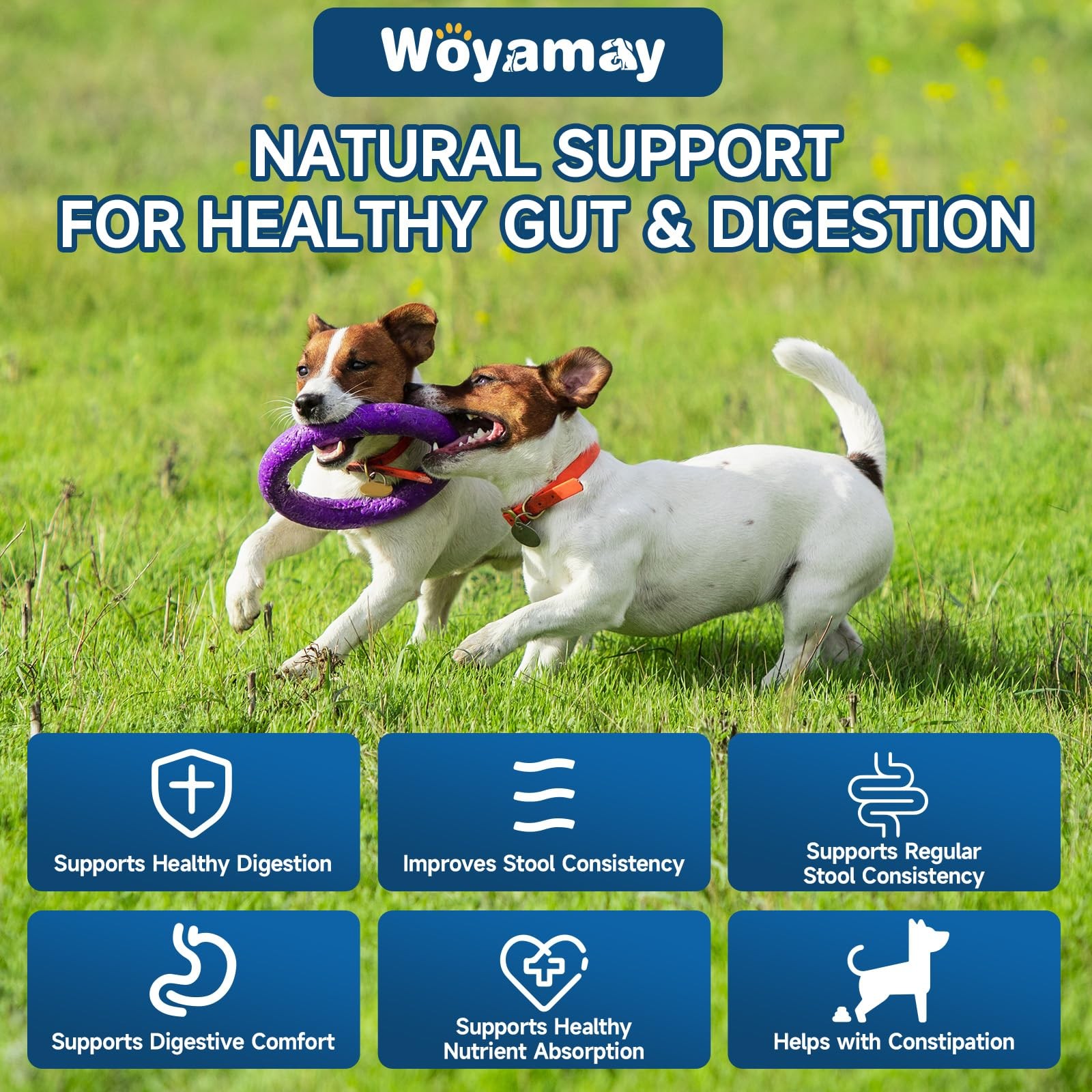 Woyamay Dog Probiotic for Dogs, 200 Soft Treats Probiotics Brown