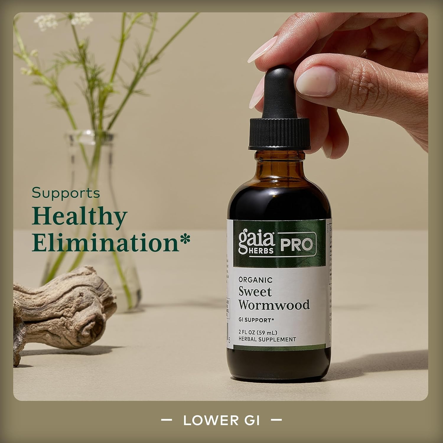 Gaia Herbs Pro Sweet Wormwood Digestive Elimination Support, 2 oz