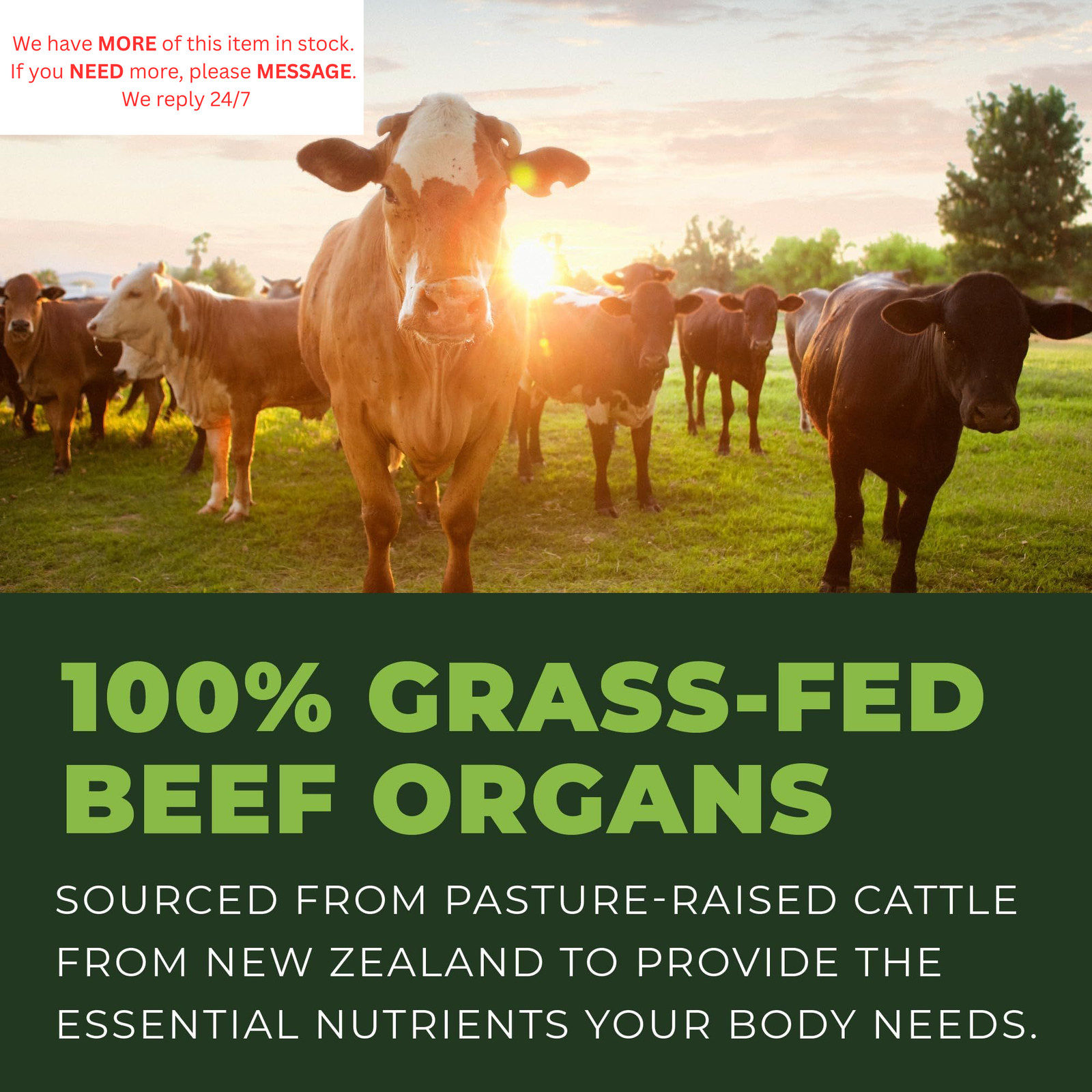 Beef Organ Supplement Grass Fed – 7 Organs Complex 180 Count (Pack of 1)