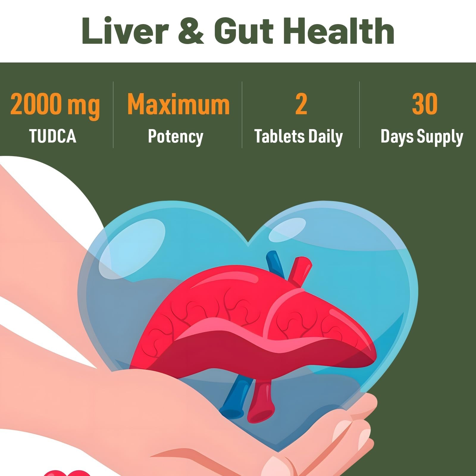 Liver Detox Supplements 2000mg – Bile Salts for Liver & Gallbladder Health – 60