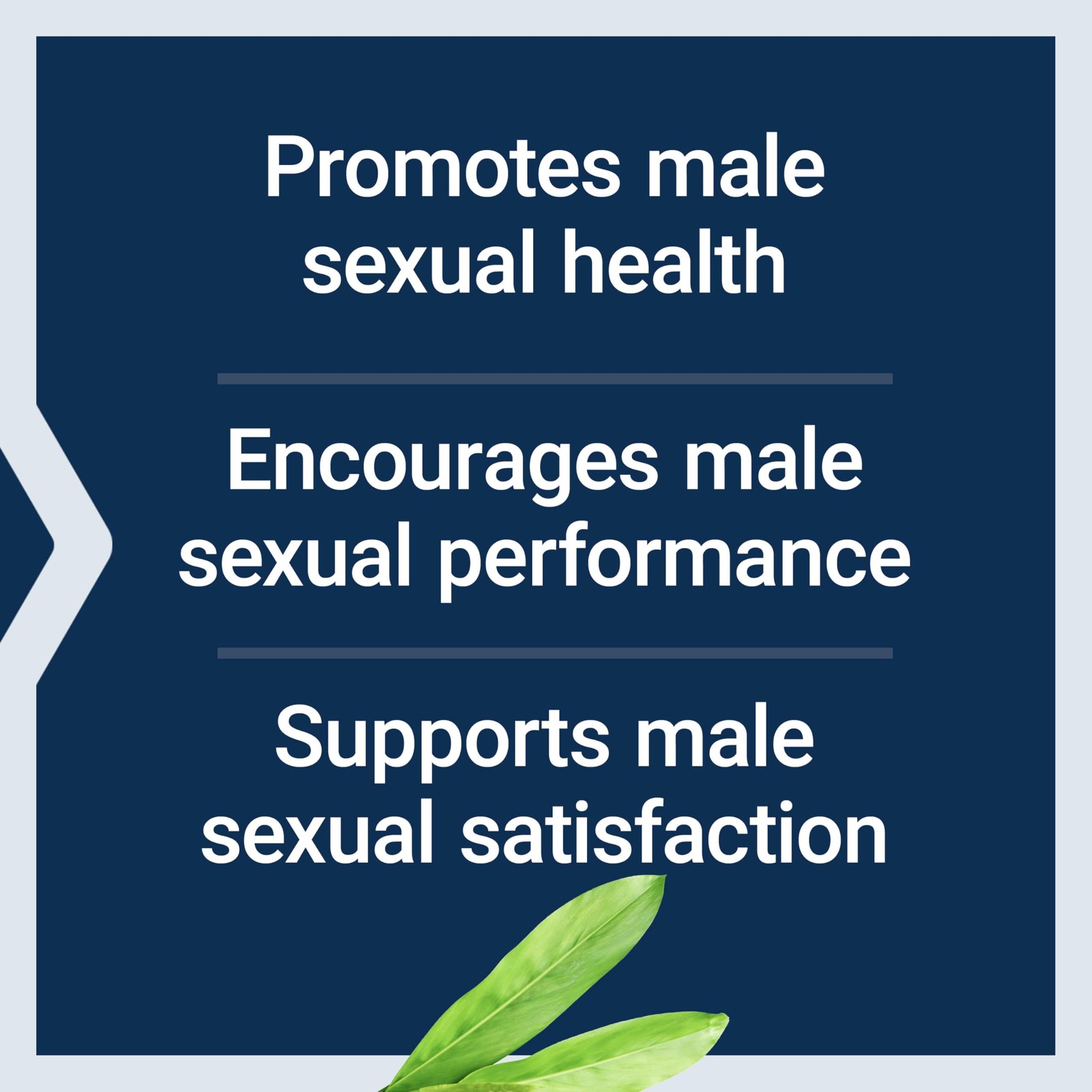 Life Extension Male Vascular Sexual 30 Count (Pack of 1), Gray Speckles