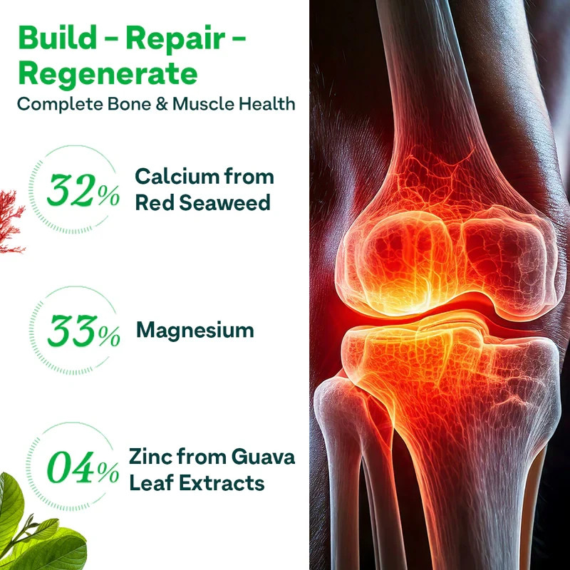 OZiva Calcium Magnesium + Zinc For Bone Density & Muscle Health, 60 Capsules