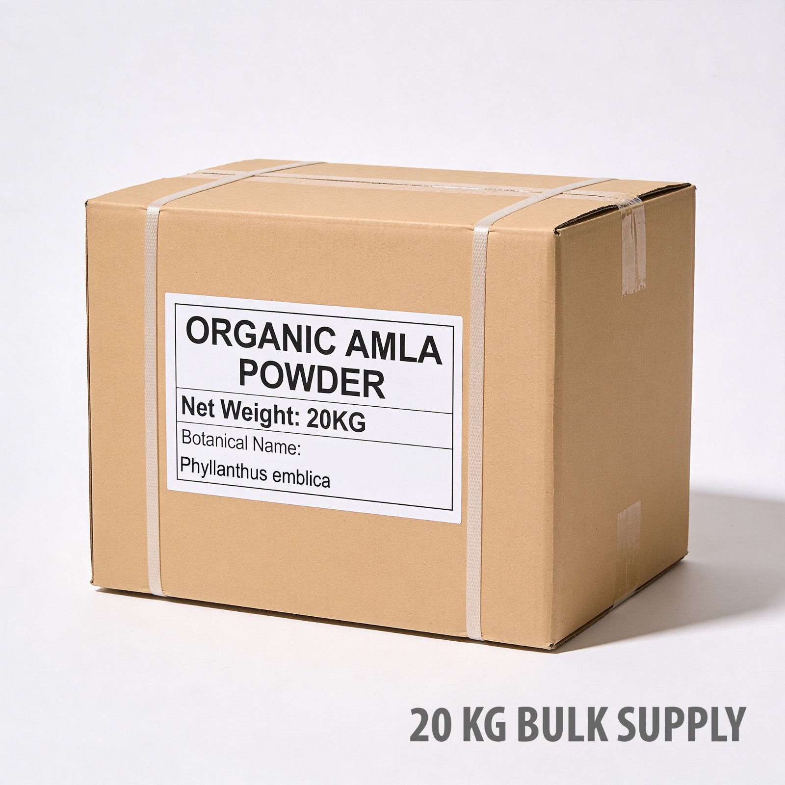 Organic Amla Powder 20KG Bulk Commercial Supply | Phyllanthus Emblica Wholesale
