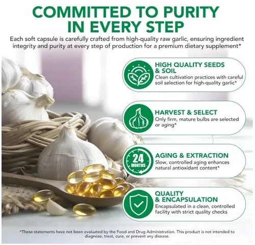 Aged Garlic Extract 7500mg Immune Support 300 Softgels Heart Health Antioxidant