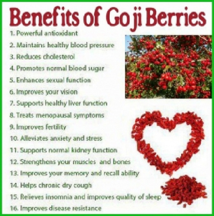 Youngevity Sirius Himalayan Goji Juice 4x, Free Shipping Wholesale