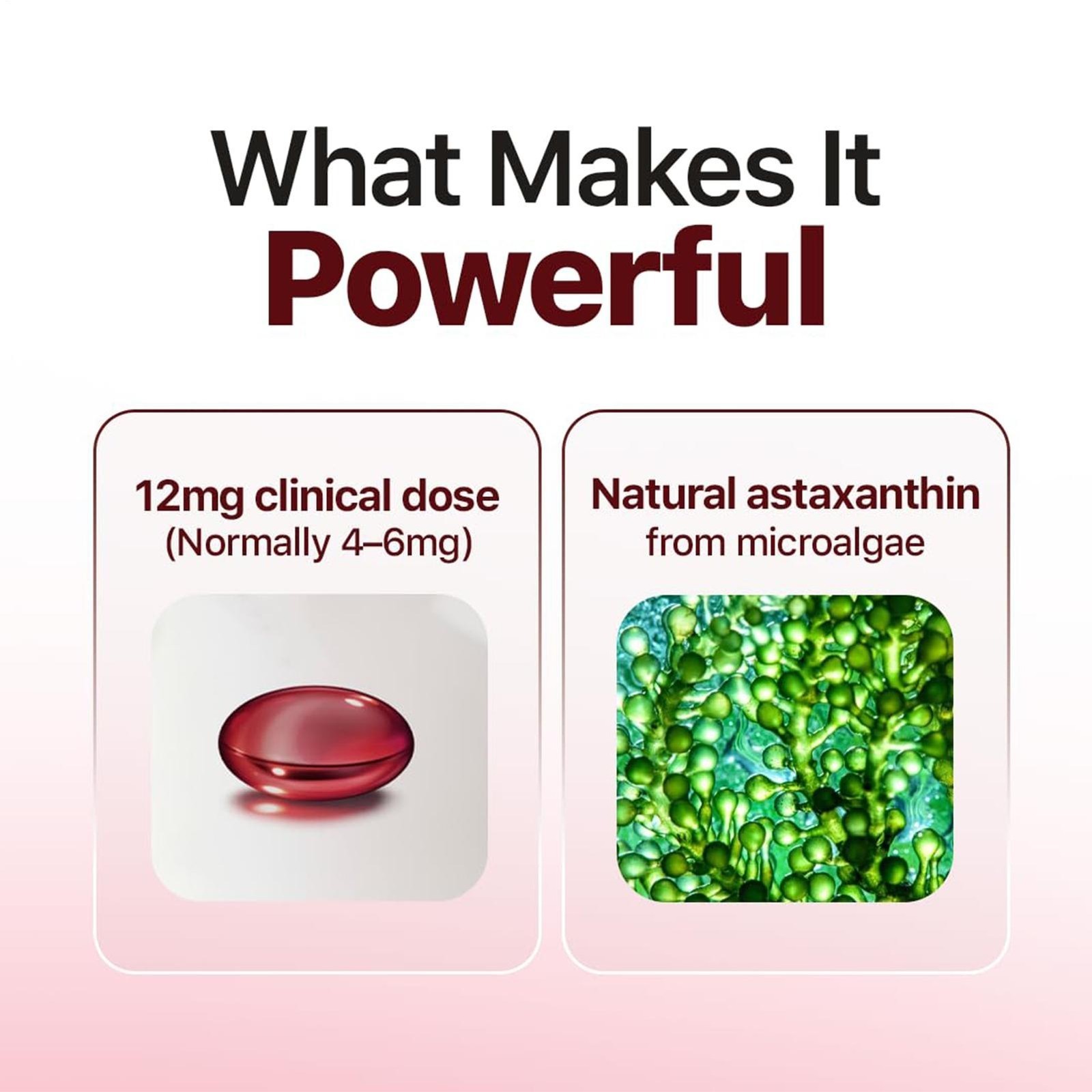 ROVINA Astaxanthin 12mg Softgels From Microalgae-Triple Strength Antioxidant US