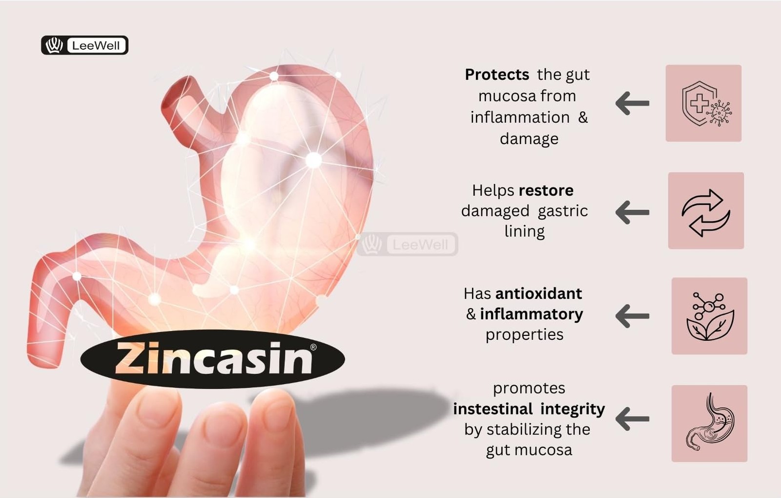 Zincasin Zinc L-Carnosine 75mg x60 | Gut, Immunity, Skin, Hair, Ulcer & IBS Supp