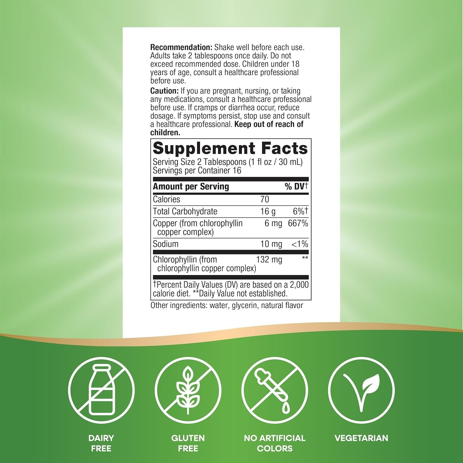 Nature’s Way Chlorofresh, Liquid Chlorophyll, Healthy Skin & Body Detox 16 Fl Oz