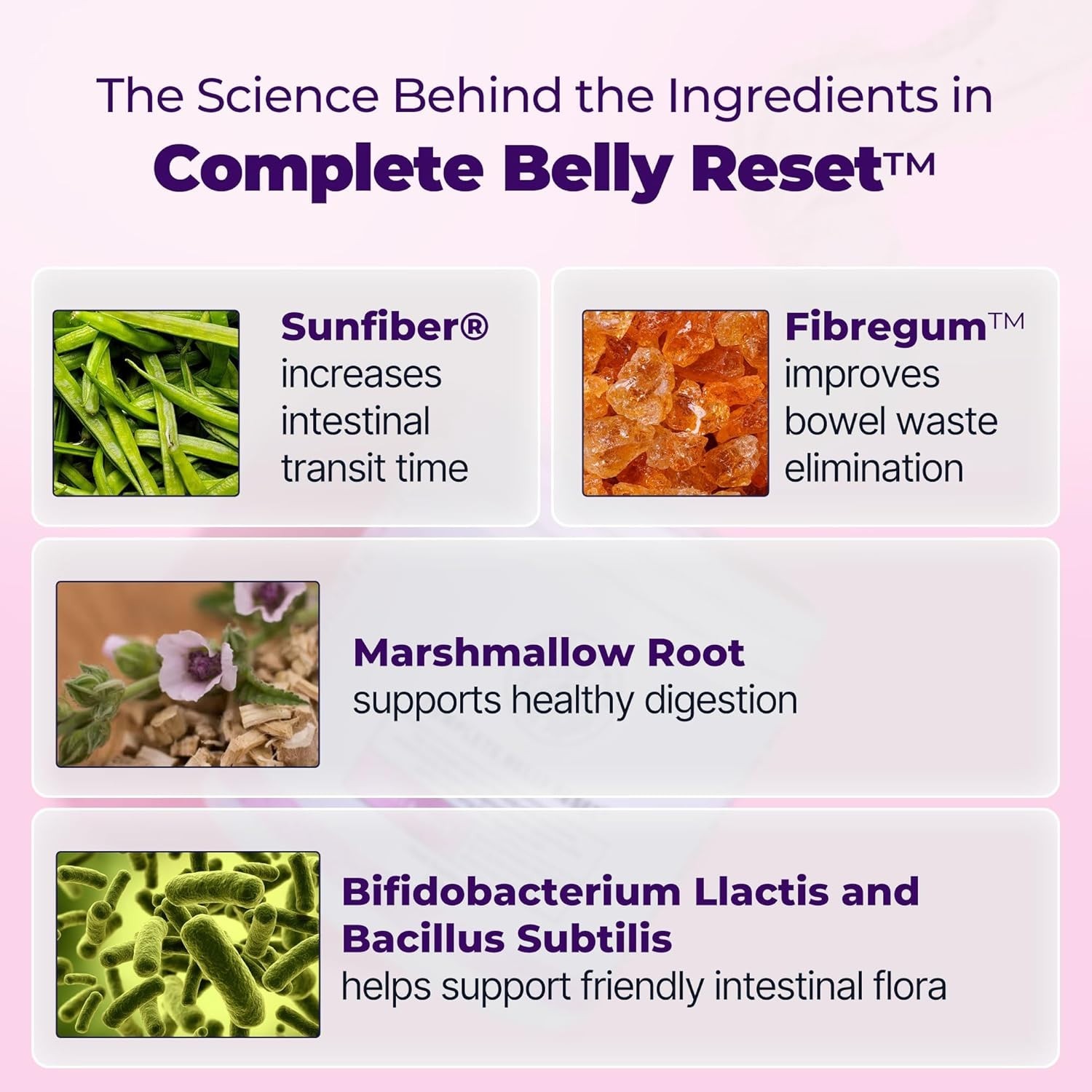 Happy Mammoth Complete Belly Reset Digestive Health Supplement Powder – Vanilla