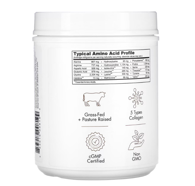 Multi Collagen Peptides, 5 Types Collagen I, II, III, V & X, Chocolate, 18.17 oz