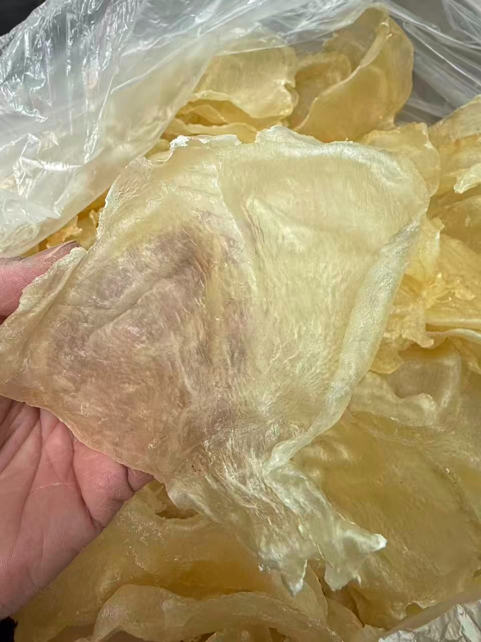 南美洲野生特大7头蝴蝶胶1LB/Bag XL Size Dried South American wild caught fish maw-U.S Seller