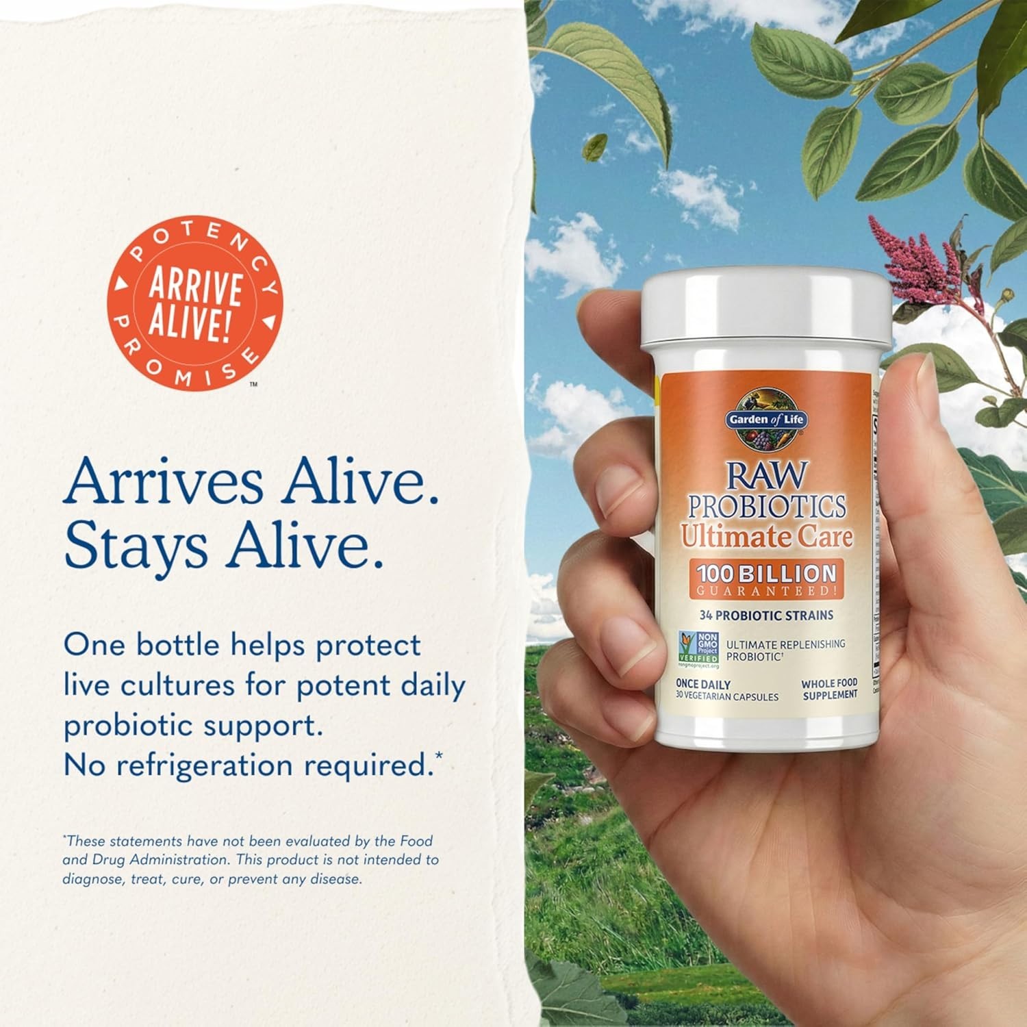 Garden of Life Raw Probiotics Ultimate Care 100 Billion 30 Veg Capsules