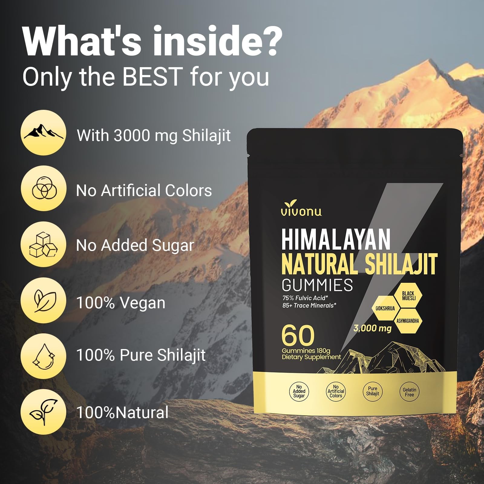 Himalayan9 Shilajit Gummies with 60 Count (Pack of 1), 1 Bag / 60