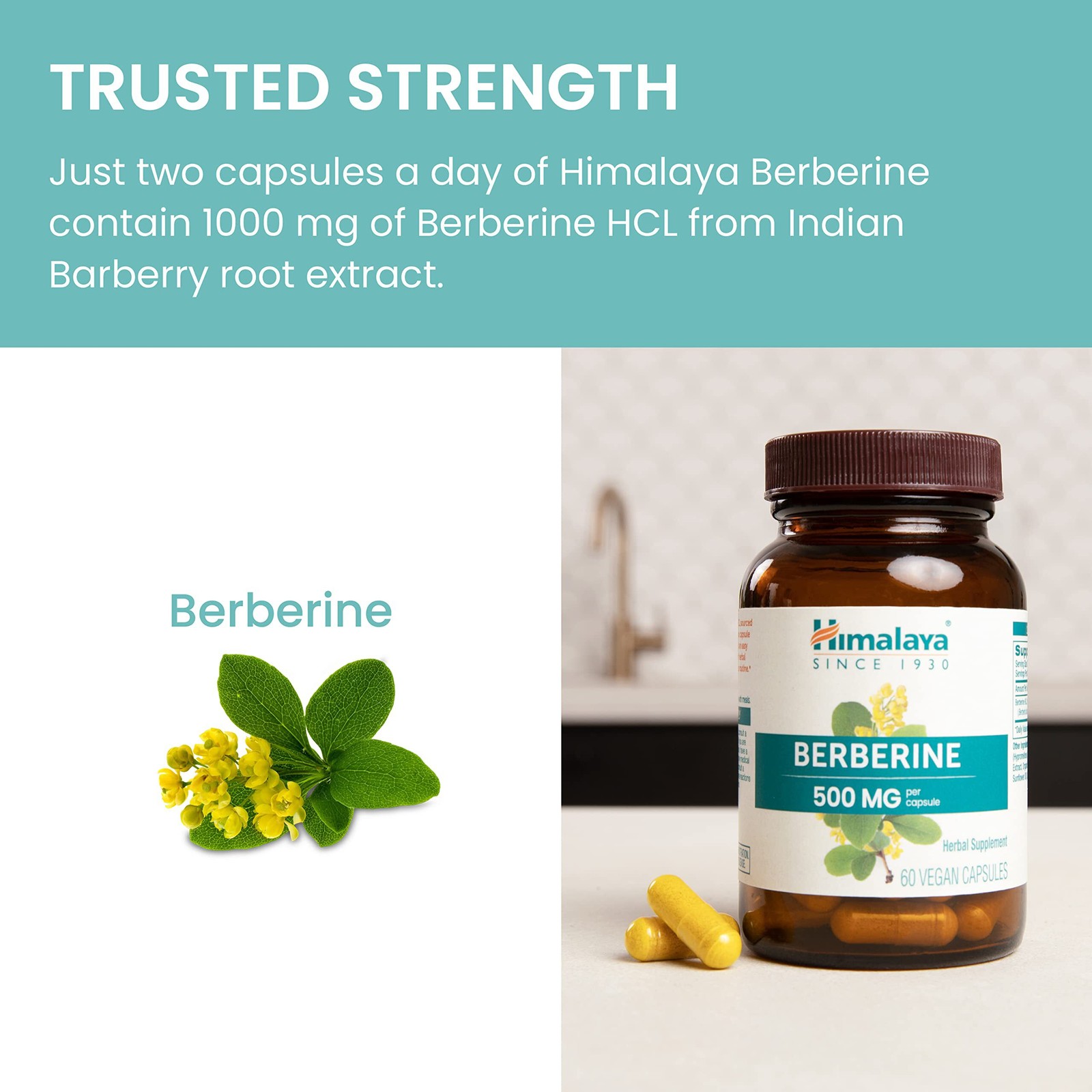 10/27 Himalaya Berberine – Herbal Supplement for Supporting Normal Metabolism, I