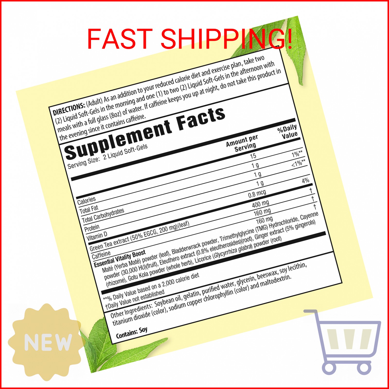 Applied Nutrition Green Tea Fat Burner – Supports Weight Loss for Men and Women