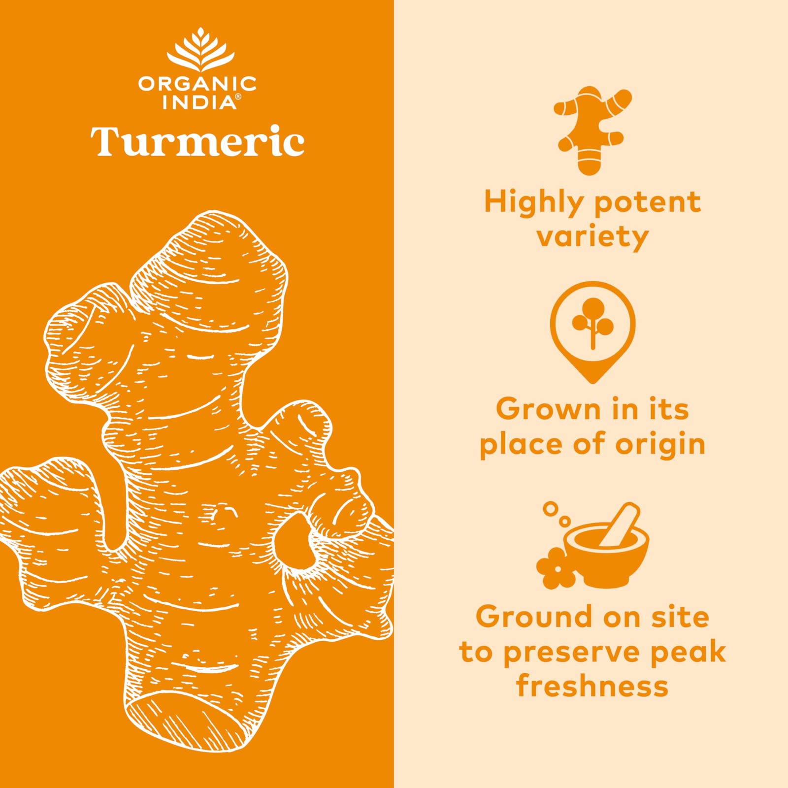 ORGANIC INDIA Turmeric Curcumin Herbal Supplement – Joint Mobility Immune