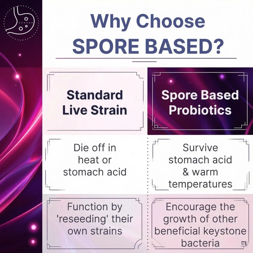 NEW！Mega Sporebiotic 60 Capsules Microbiome Labs, probiotic supplement – 3 PACK