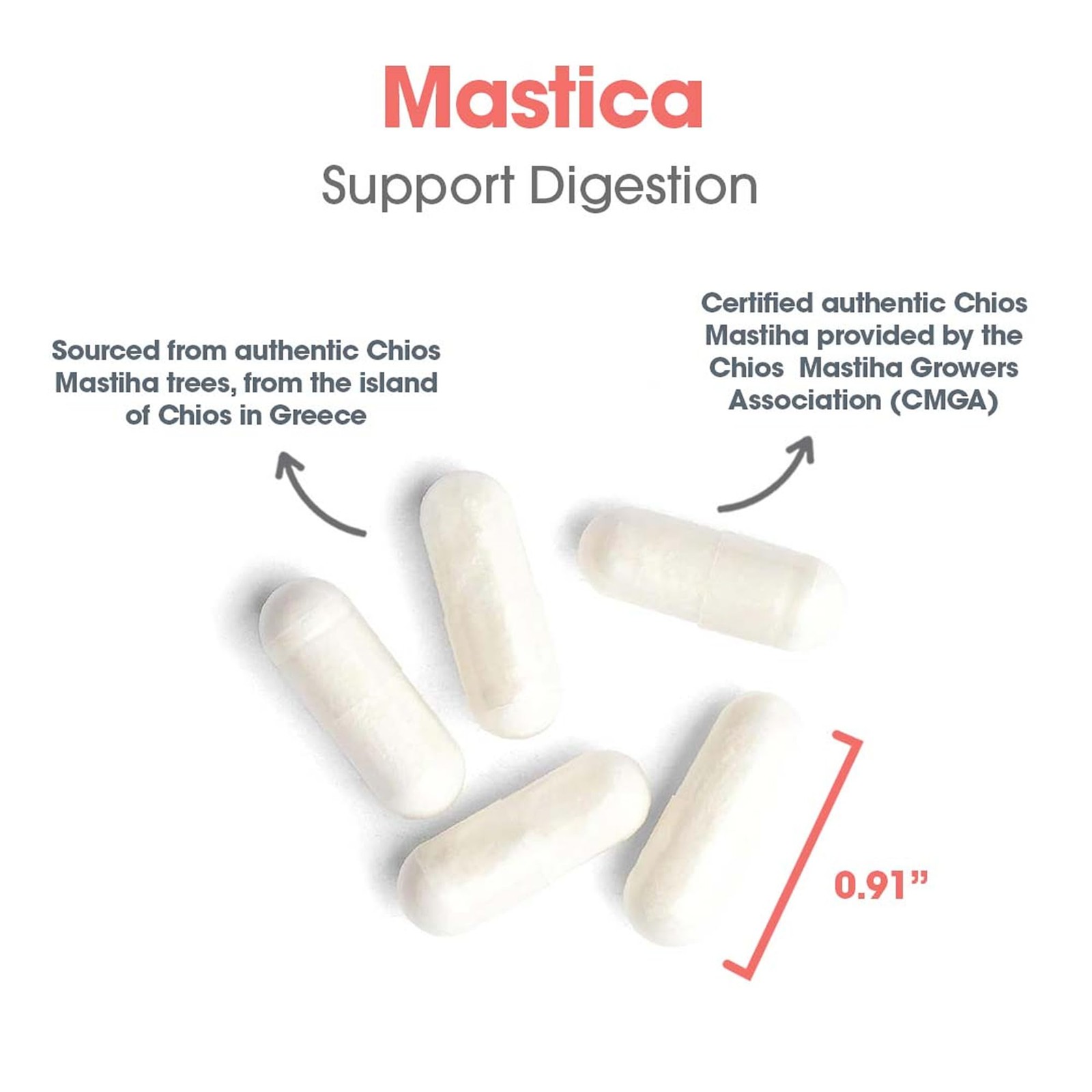 Allergy Research Group ARG Mastica Digestive Support Supports Digestive Comf…