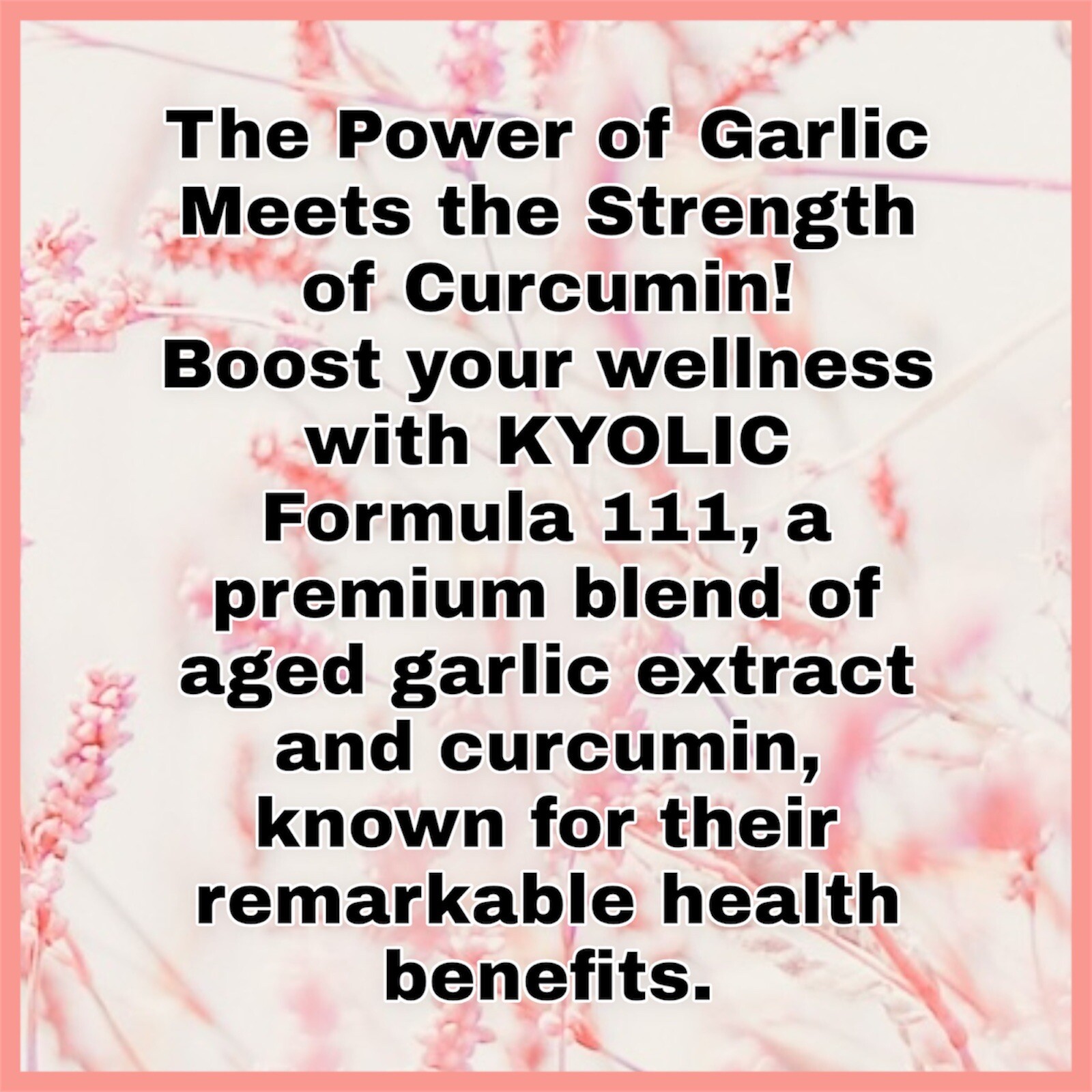 KYOLIC-Aged Garlic Extract-Curcumin-FORMULA111-50Caps.NEW!!!