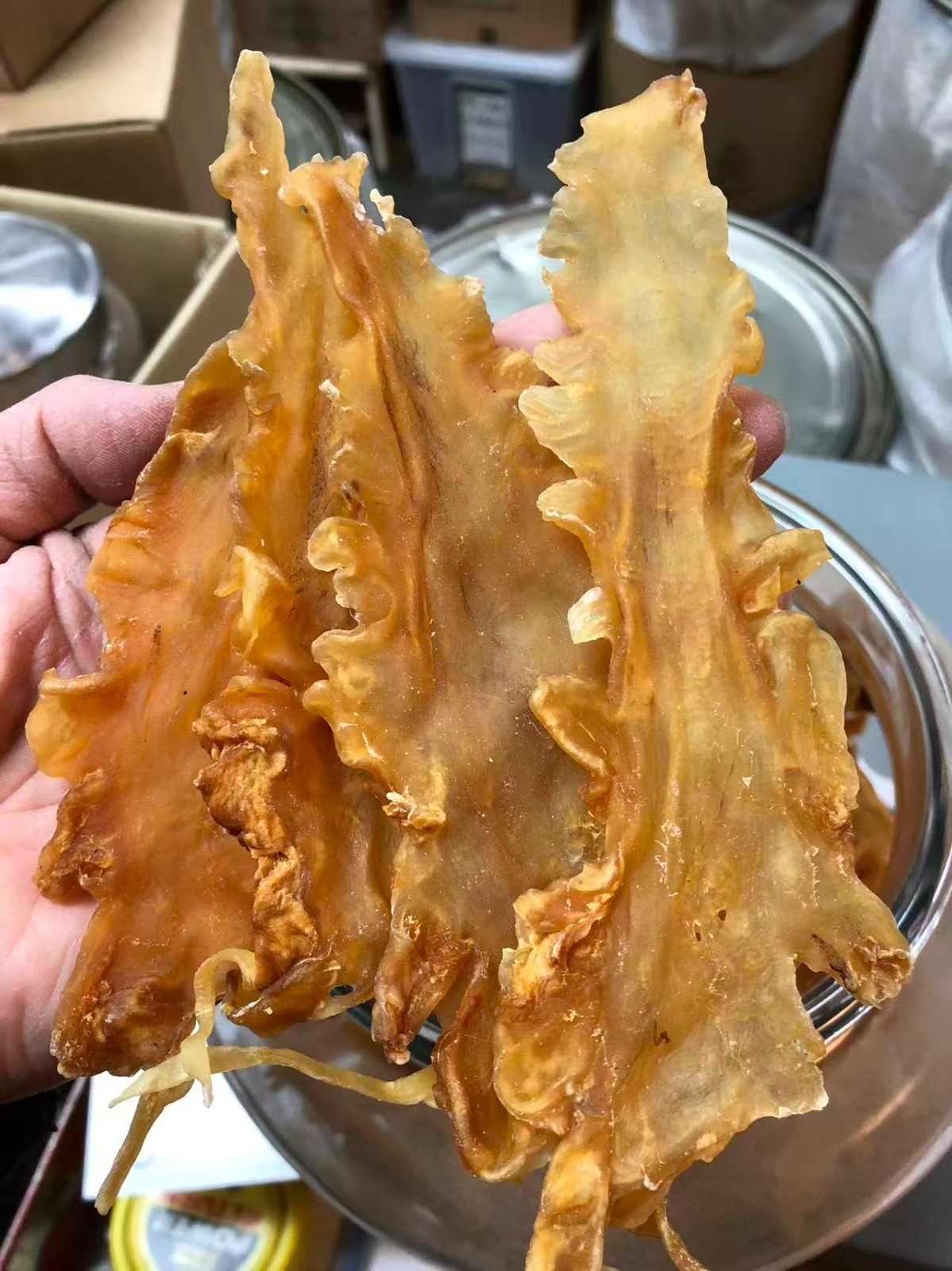 1磅装挪威鳕鱼胶 1LB/Bag Size M Dried Norwegian Cod Maw wild caught fish maw-U.S Seller