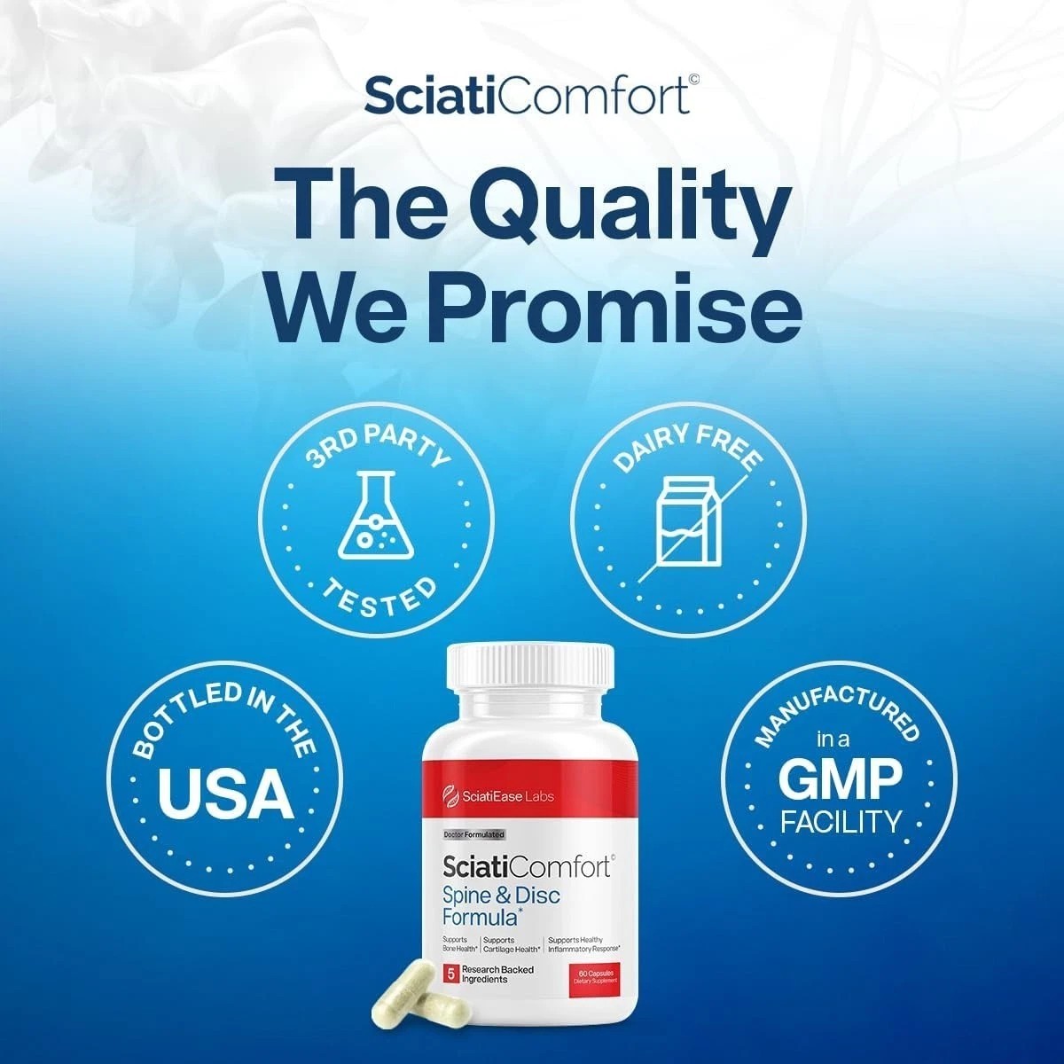 SciatiEase SciatiComfort Spine and Disc Support 60 Count (Pack of 3)