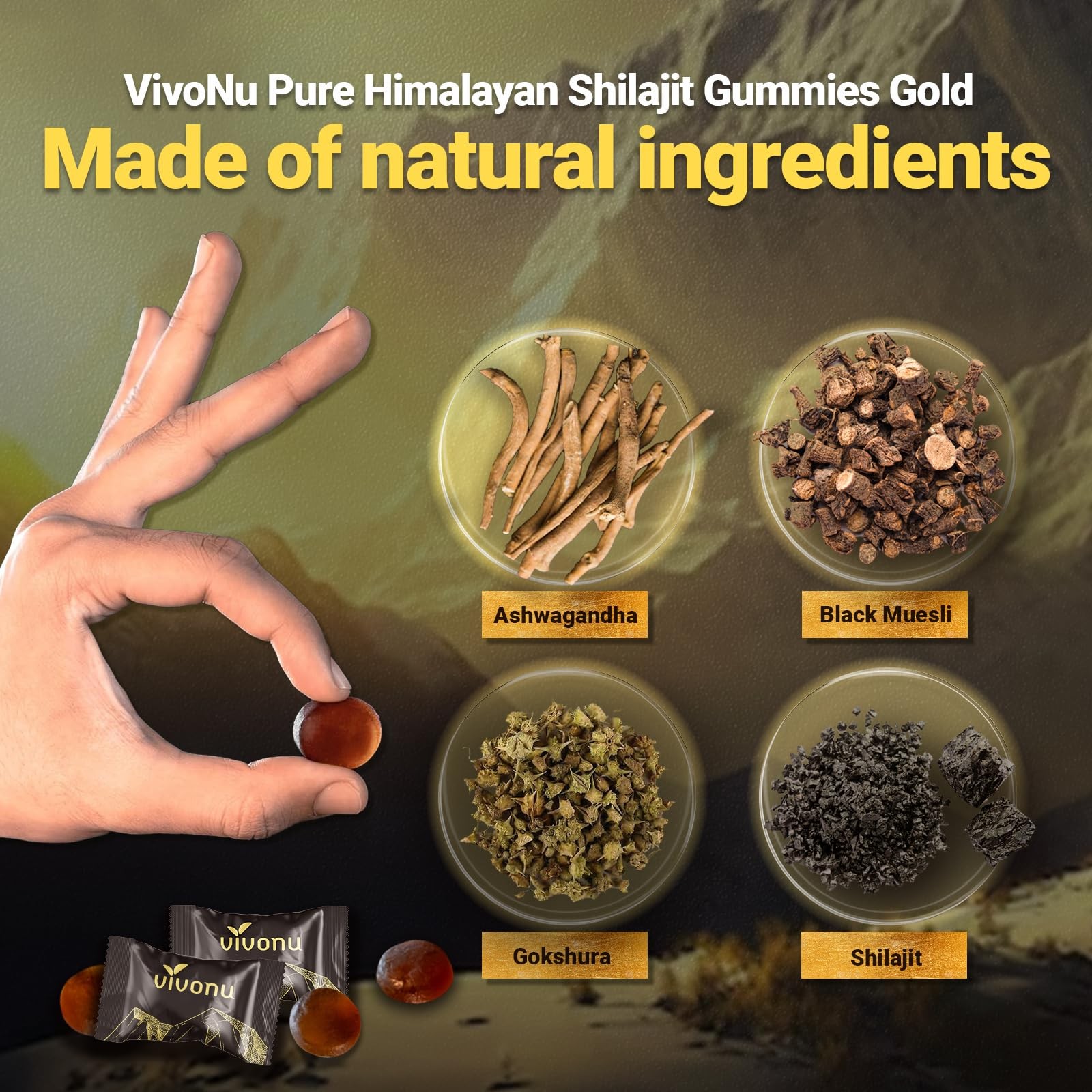 Himalayan9 Shilajit Gummies with 60 Count (Pack of 1), 1 Bag / 60