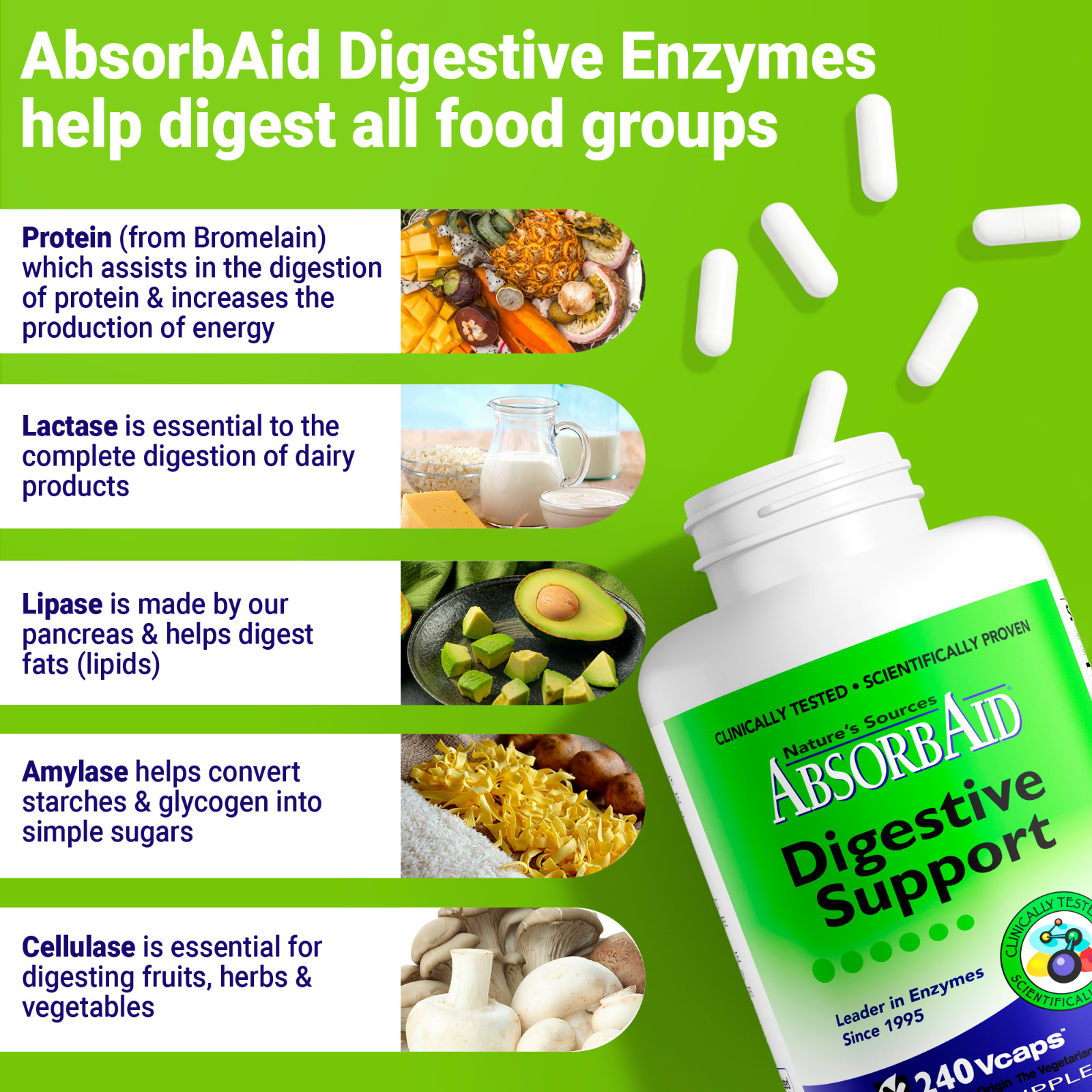 AbsorbAid Natural Digestive Enzyme relief for gas, bloating, acid reflux-240 cap